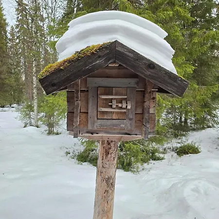 Cozy In Centre With Extra Guest Cabin - Savottakaemppae